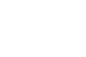 western world interpreting services